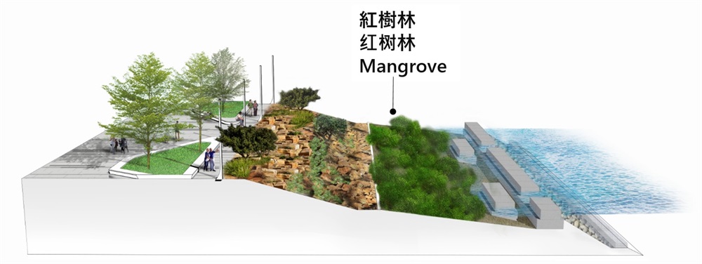 Mangroves to be planted in inter-tidal zone