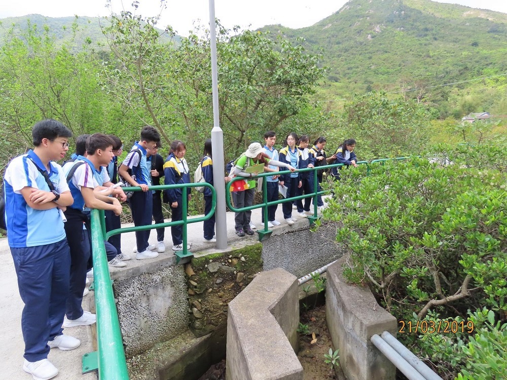 The Sustainable Lantau Office organised a number of guided tours for schools to promote the importance of the sustainable development of Lantau through visits to the historic buildings and the natural resources in Lantau (e.g. Hau Wong Temple in Tung Chung, Tung Chung River, stilt houses and mangrove in Tai O, etc).