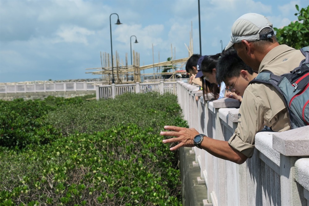 The Sustainable Lantau Office organised a number of guided tours for schools to promote the importance of sustainable development of Lantau through visits to the historic buildings and the natural resources in Lantau (e.g. stilt houses and shrimp-paste factories in Tai O, and mangroves, etc).