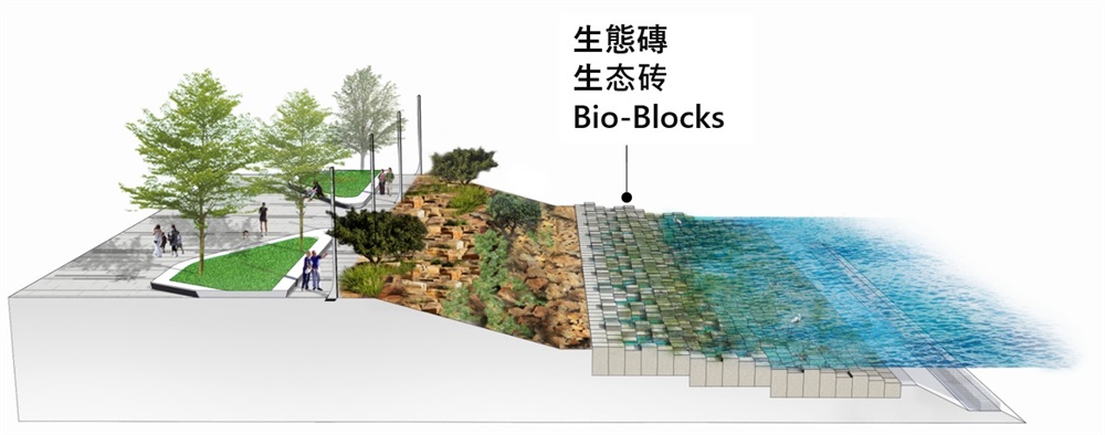Bio-blocks to be installed in inter-tidal zone