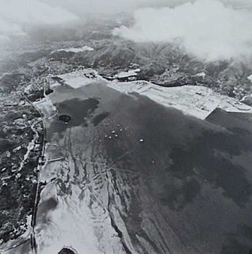 1979年大埔新市鎮的發展