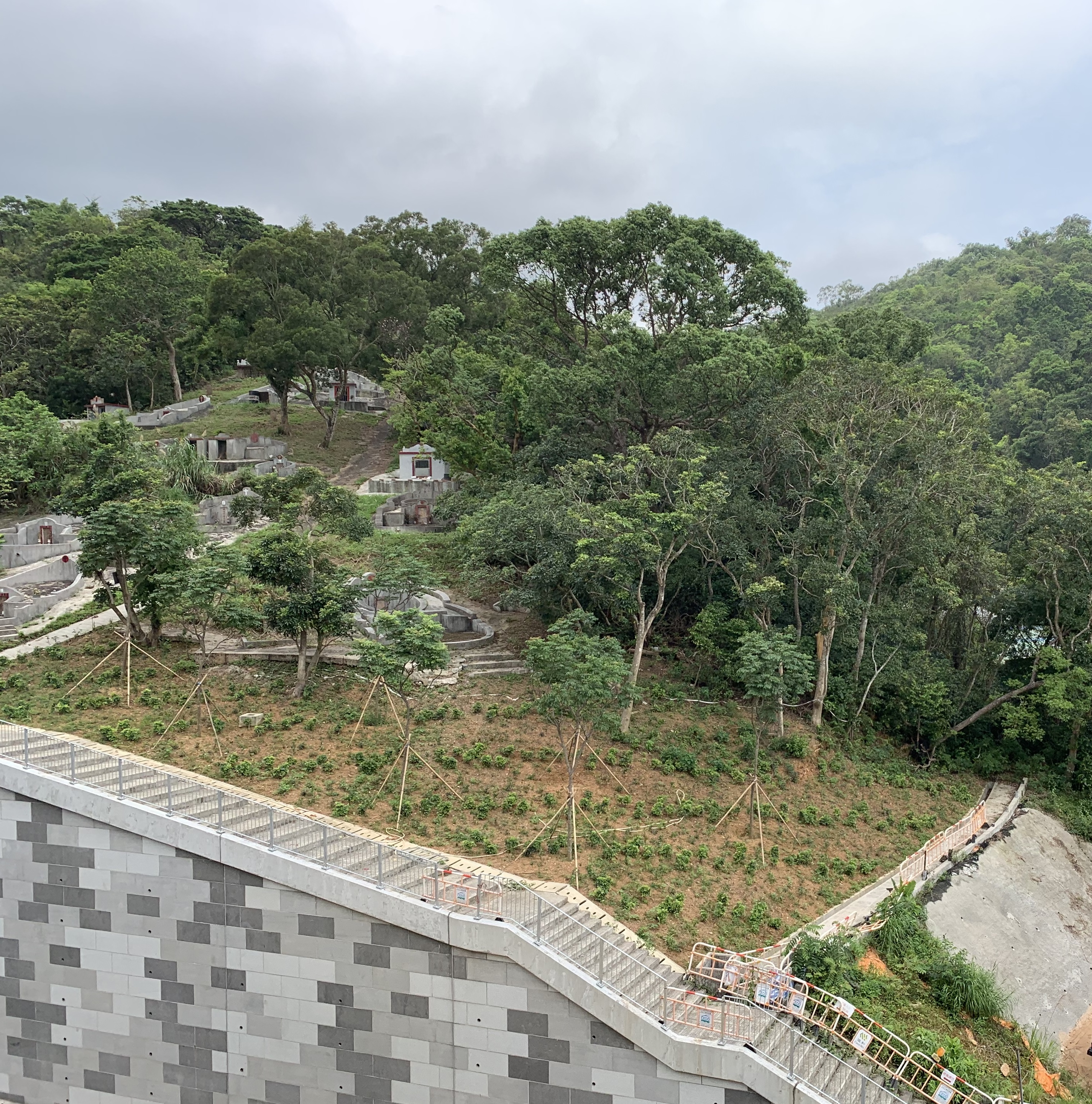 Greening on sloping ground at Tai Wo Service Road West