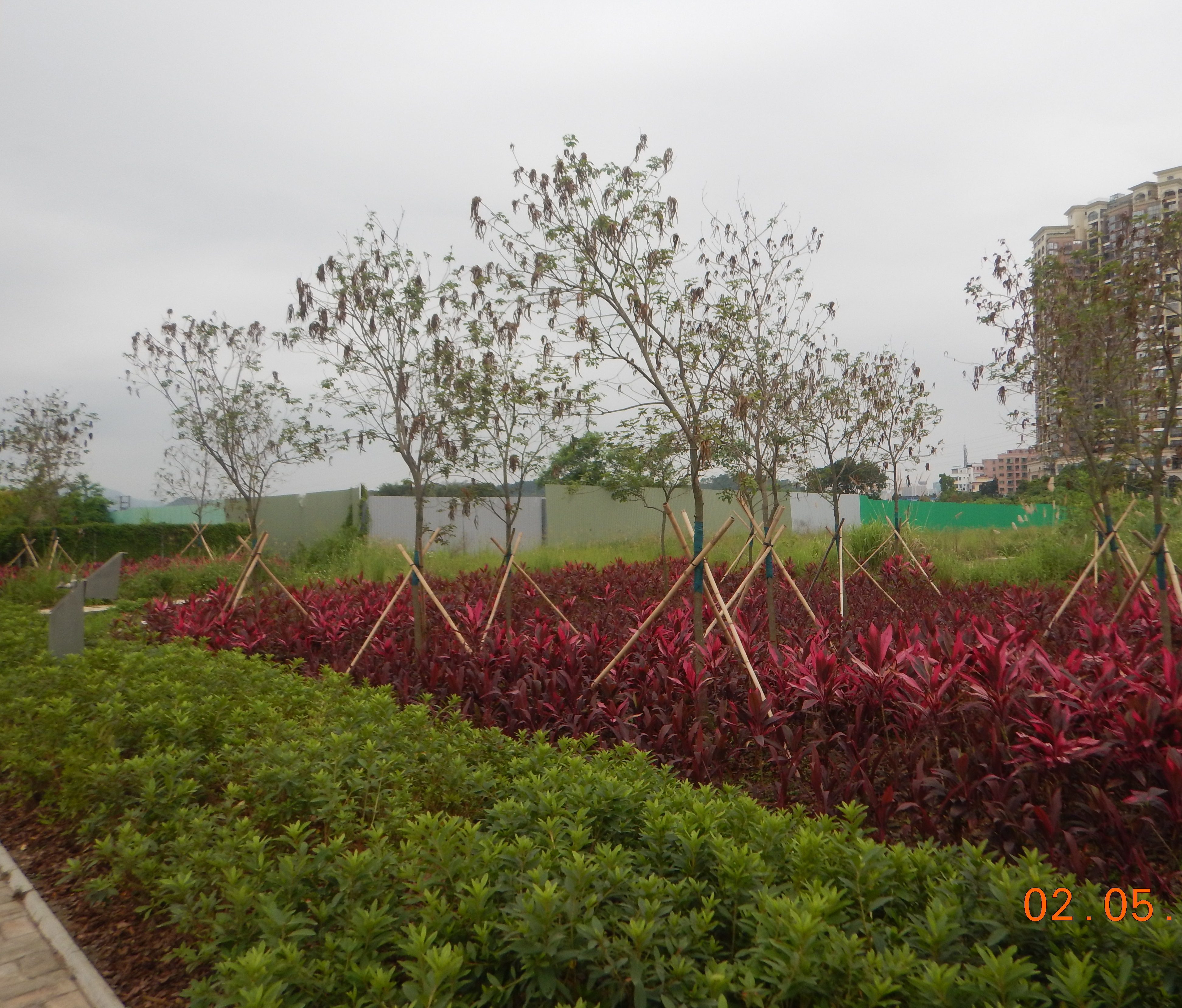 Roadside planting at Lin Ma Hang Road