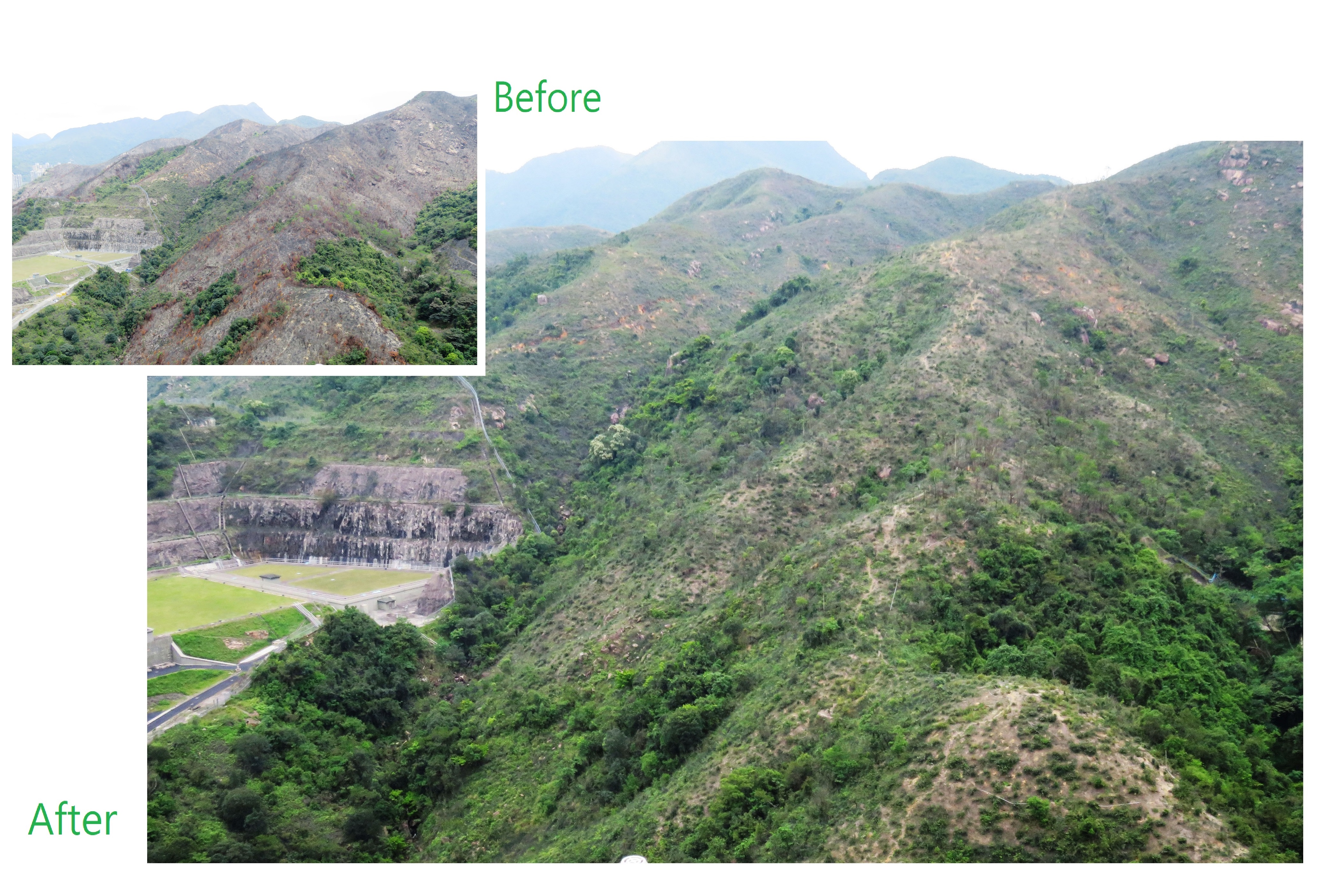Soil Erosion Control Planting in Shui Chuen O, Shatin