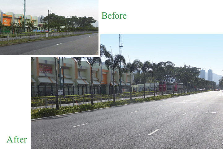 Greening works at central median of Yuen Wo Road, Sha Tin