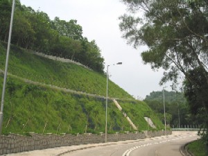 up-to-standard green slope at South Lantau Road