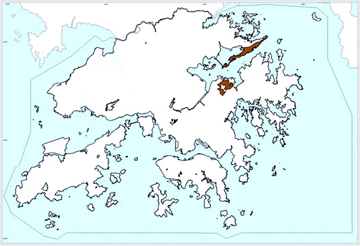 Bluff Head Formation - Db