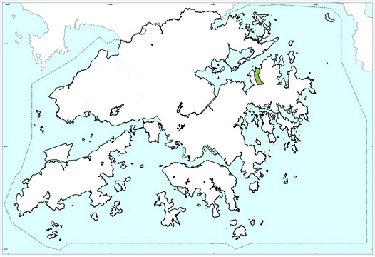 Lai Chi Chong Formation - Jll