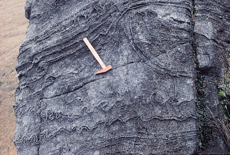 Complex flow banding and folding in rhyolite lava of the Lantau Volcanic Group (undifferentiated), Nei Lak Shan, Lantau Island
