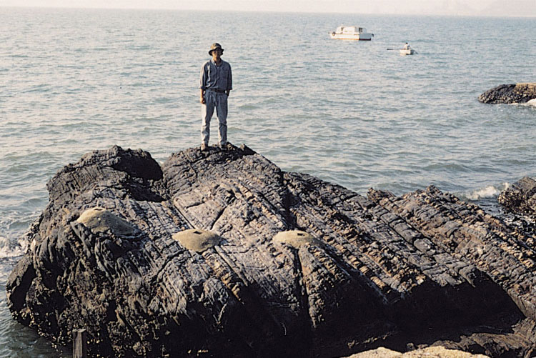 Lok Ma Chau Formation