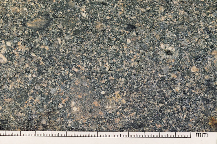 Long Harbour Formation