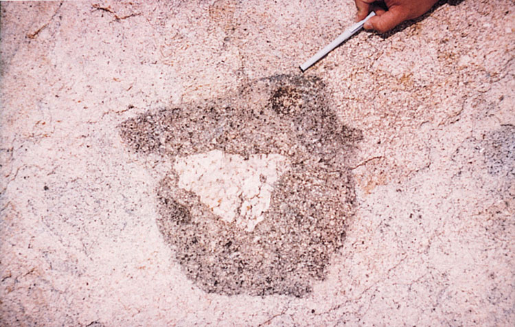 Double enclave relationship of a Lantau Granite clast enclosed by megacrystic Luk Keng Quartz Monzonite