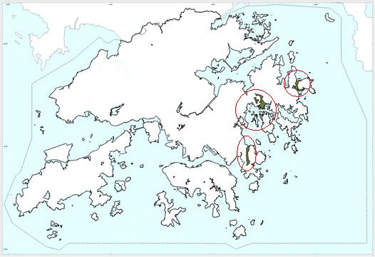 Mang Kung Uk Formation - Krm