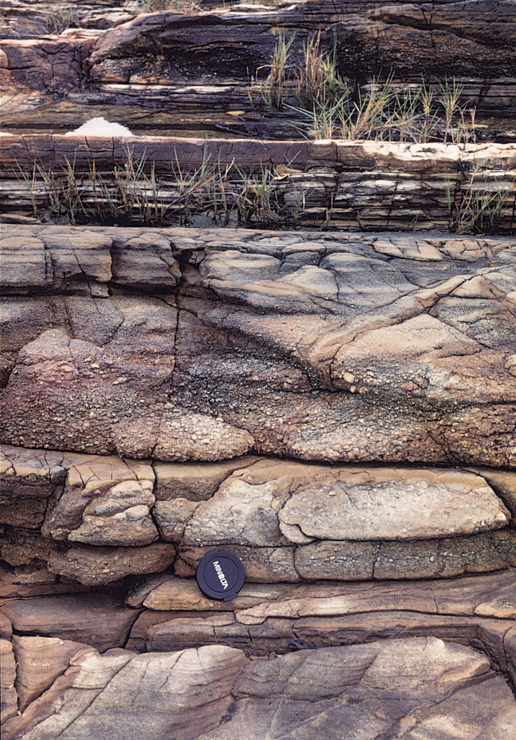 Bedded conglomerate, sandstone, siltstone and mudstone in the Mang Kung Uk Formation, Tai Tsan Chau, eastern New Territories