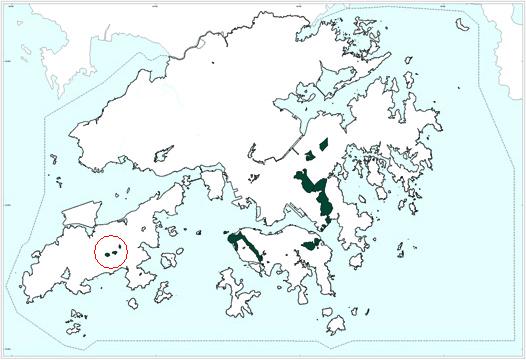 The northwest and the east of Hong Kong Island, eastern Kowloon, and two areas in the eastern side of the Sha Tin Valley.