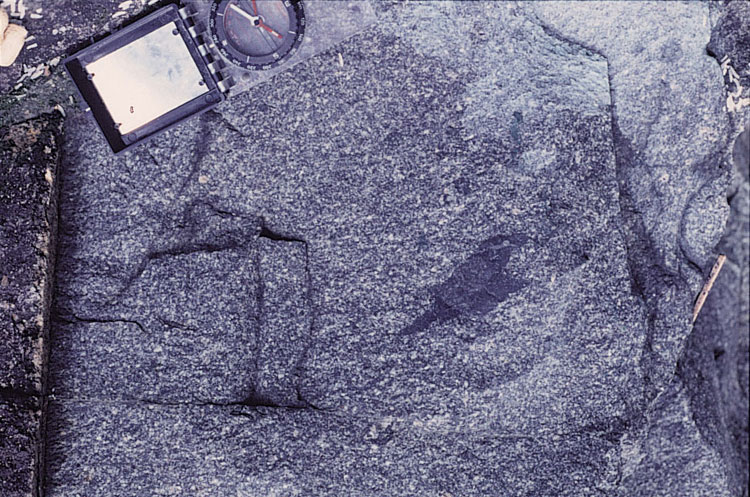 Mount Davis Formation