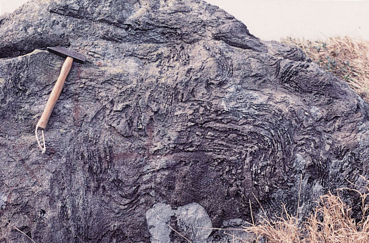 Pan Long Wan Formation