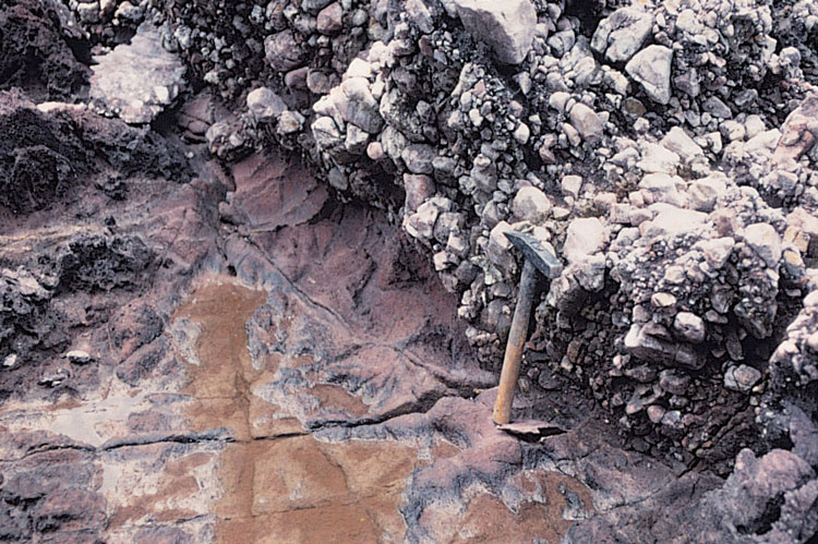 Thickly-bedded volcanic conglomerate of the Pat Sin Leng Formation, Bluff Head, northeastern New Territories