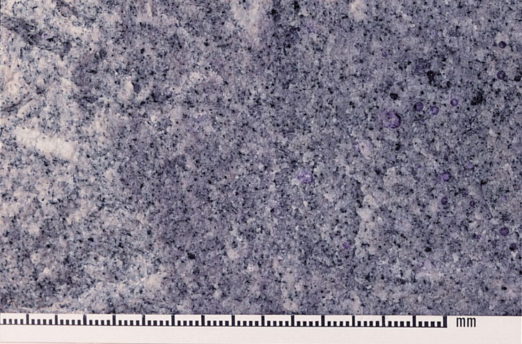 Equigranular, fine-grained Tai Lam Granite, Lam Tei, western New Territories