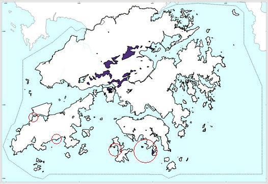 The central New Territories and on Tsing Yi.