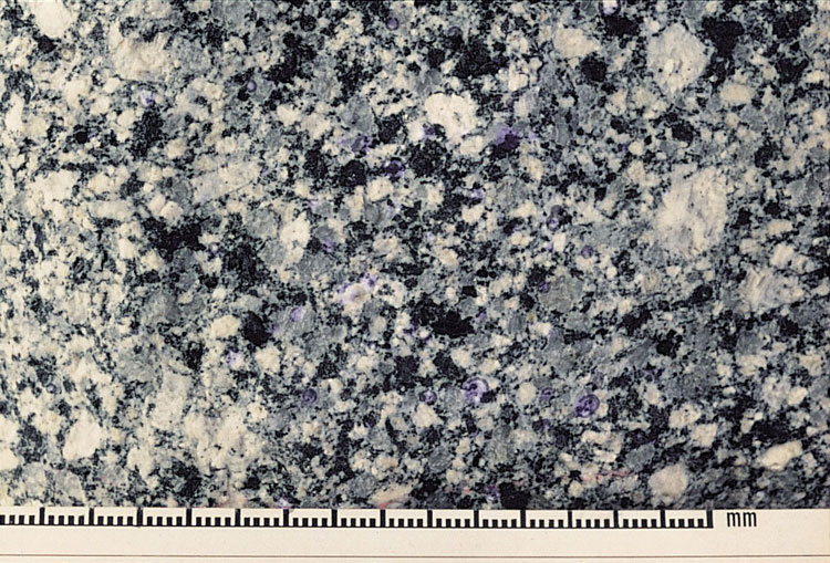 Tai Po Granodiorite