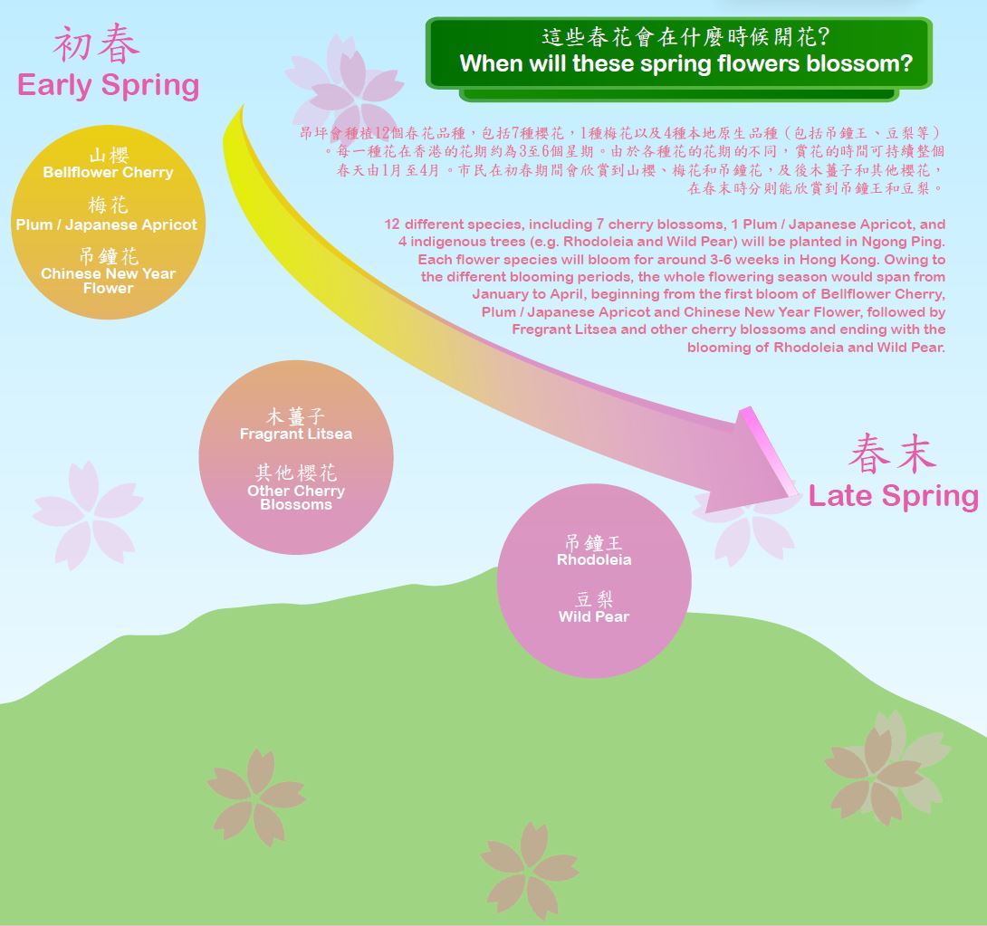 Topics in Focus Landscape Improvement Works in Ngong Ping