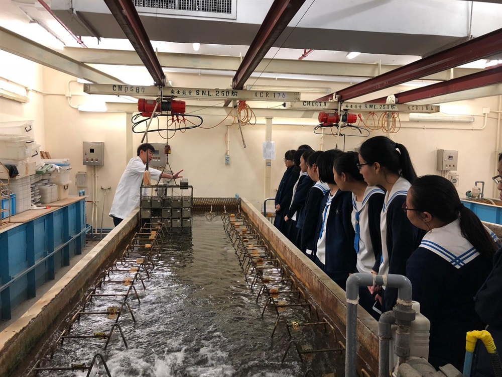 The students visited the Public Works Central Laboratory and learnt about the various works in the laboratory, including soil and rock testing, construction materials testing, chemical testing and calibration services.