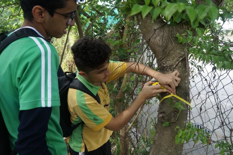 同學體驗工作活動