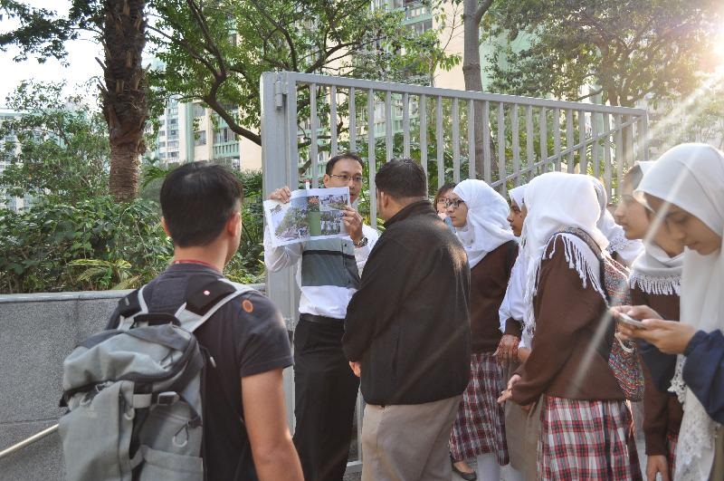 介紹土木工程拓展署大樓的綠化工程