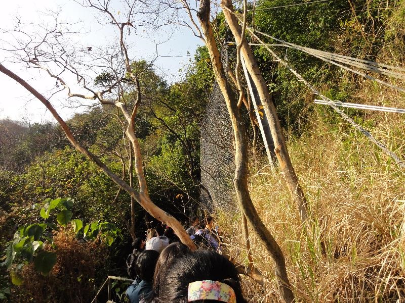 安裝於柔性防禦網上的山泥傾瀉智能偵測系統的參觀