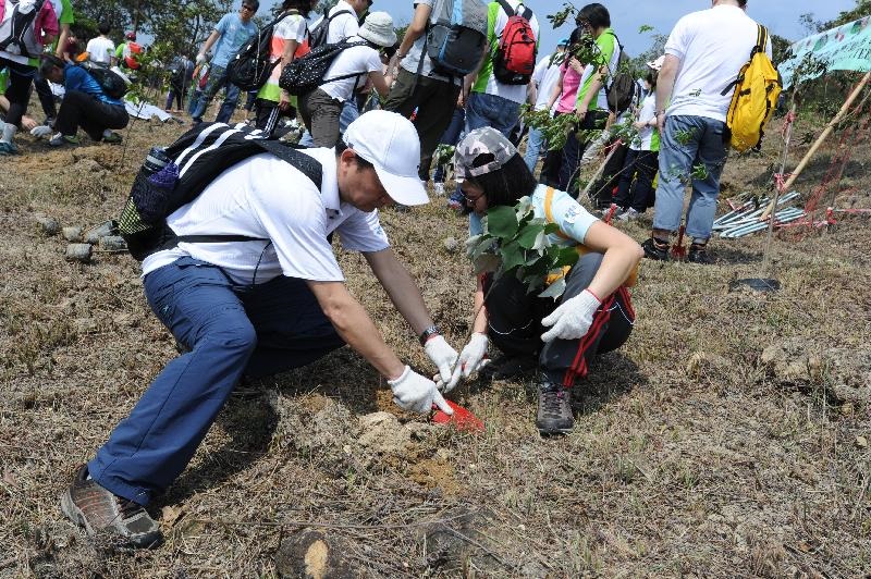 參加者種樹苗的照片。