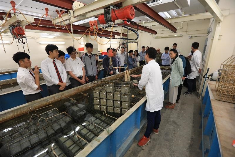 The students learnt about the works in the laboratory during their visit to the Public Works Central Laboratory. After the visit, the mentors guided the students to discuss their future career planning and development.